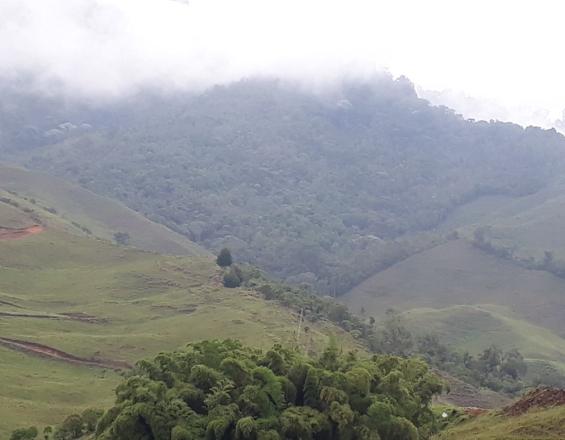 Conservación de la Microcuenca San Pablo: una historia de éxito de gobernanza compartida entre municipio y población local