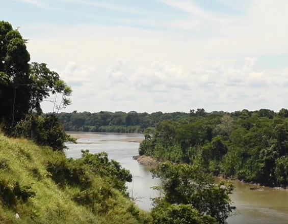Conservación de bosque en las comunidades de Boca Isiriwe, Masenawa y Puerto Azul, Reserva Comunal Amarakaeri Conservación de bosque en las comunidades de Boca Isiriwe, Masenawa y Puerto Azul, Reserva Comunal Amarakaeri