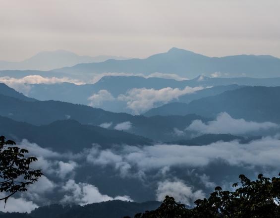 Gestión municipal y empresa privada: juntas por la sustentabilidad ambiental de la Amazonía Ecuatoriana. Gestión municipal y empresa privada: juntas por la sustentabilidad ambiental de la Amazonía Ecuatoriana.