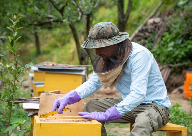 Promoting pollination as an ecosystem service for climate resilience and agroecology Promoting pollination as an ecosystem service for climate resilience and agroecology