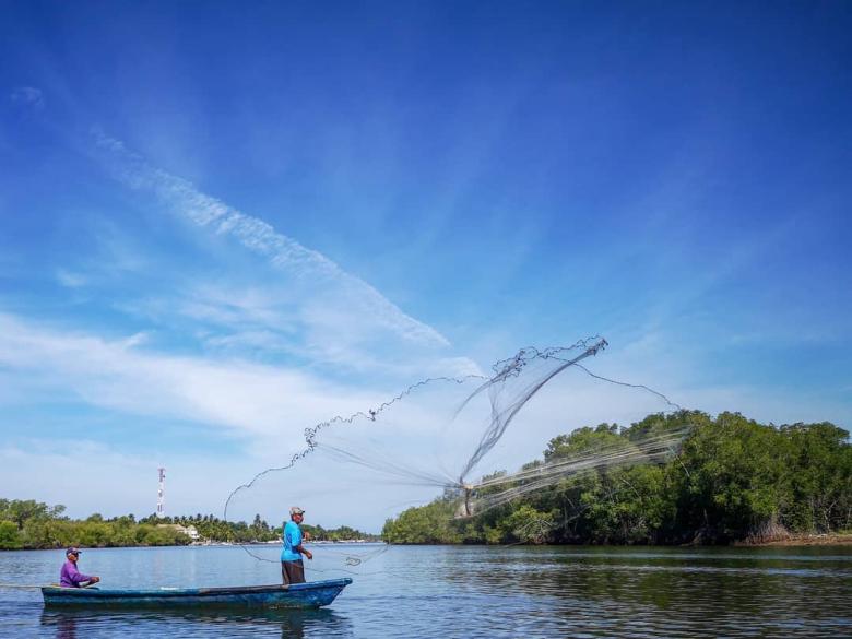 Restauración Ecologica de Manglar en el Área de Conservación El Imposible -Barra de Santiago Restauración Ecologica de Manglar en el Área de Conservación El Imposible -Barra de Santiago