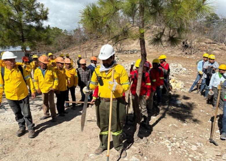 Formación de cuadrillas comunitarias e institucionales para combate de incendios forestales aplicando la metodología del USFS.