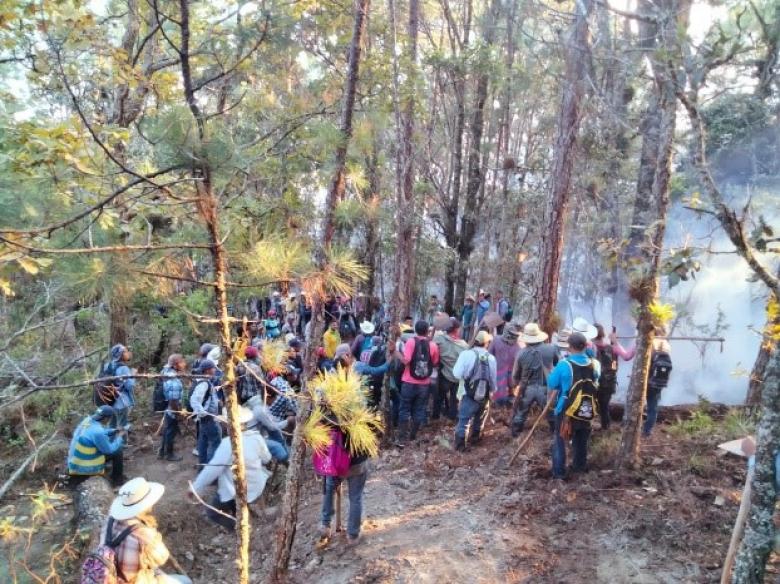 Voluntariado comunitario en combate de incendios forestales en el Parque Nacional Montaña de Celaque