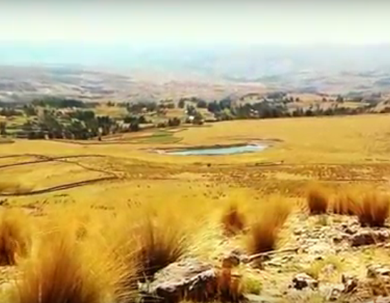 Siembra y cosecha de agua de lluvia frente a la sequía en cabecera de cuencas Cachi-Mantaro y Pampas