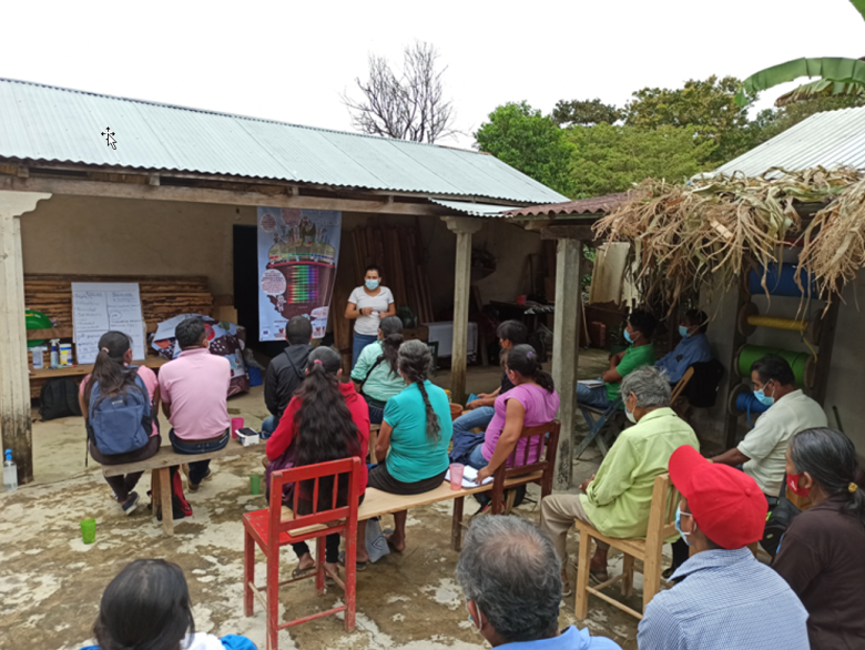 Desarrollo e implementación de un Plan de Enriquecimiento de Suelos en paisajes productivos de café en Oaxaca (México) Desarrollo e implementación de un Plan de Enriquecimiento de Suelos en paisajes productivos de café en Oaxaca (México)