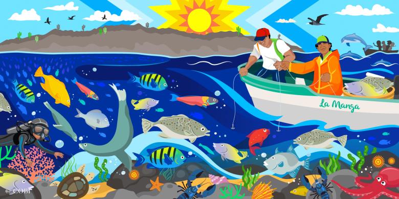 Reservas marinas comunitarias completamente protegidas