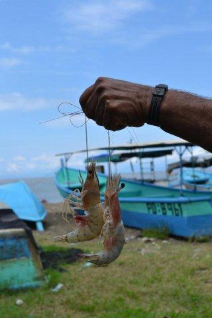 La Red de áreas marinas de pesca responsable de Costa Rica