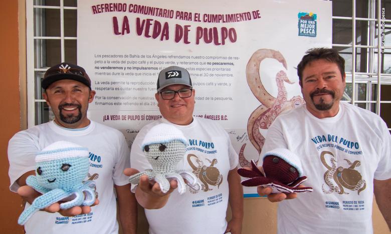 Recuperando al pulpo