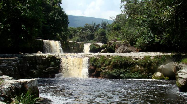 Desarrollo sostenible, adaptación al cambio climático y OMEC en zona buffer del Parque Nacional Tamá