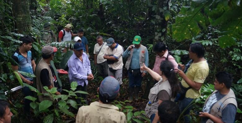Restauración ecológica en la Zona de Amortiguamiento del Parque Nacional Cordillera Azul