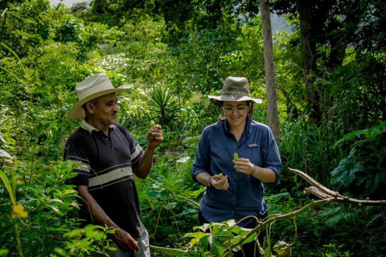 Inversión Sostenible a Nivel de Paisaje