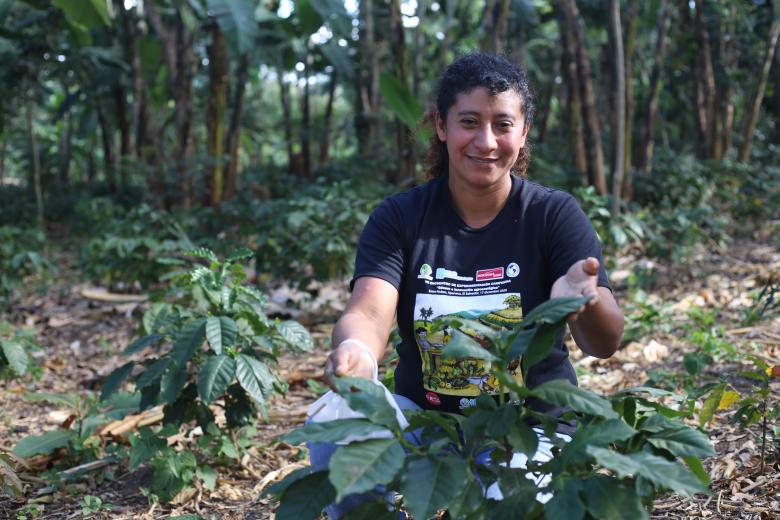 Impulsando la cadena de valor del café en pequeños productores a través de la agroecología y su diversificación