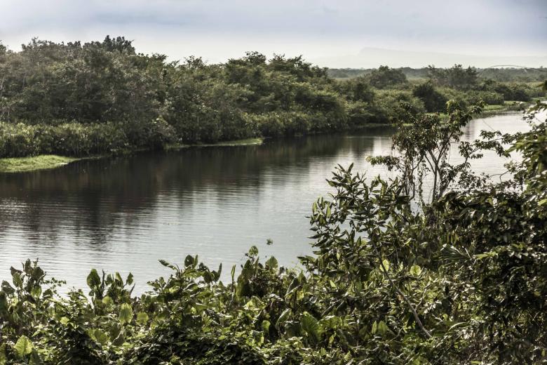 ¡Del Monitoreo al Festival! Un acuerdo de uso y manejo del recurso hidrobiológico y la pesca en el PNN Los Katíos con 10 años de historia