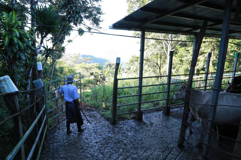 Integración del Enfoque de Restauración de Paisajes en la Cadenas de Valor Lactea