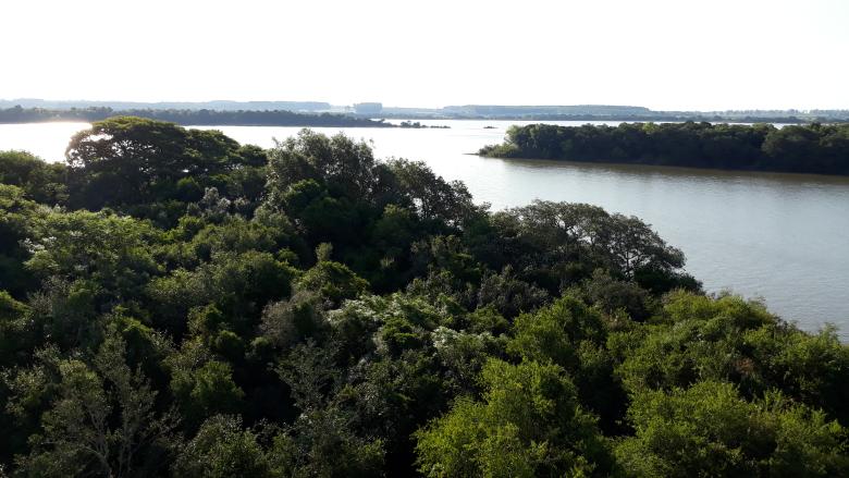 Bella Unión: La comunidad protegiendo la biodiversidad para mejorar su calidad de vida Bella Unión: La comunidad protegiendo la biodiversidad para mejorar su calidad de vida