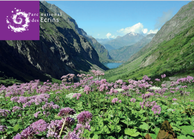 Deux exemples d'inventaires de la biodiversité méconnue dans le Parc national des Écrins : la réserve intégrale du Lauvitel en coeur de Parc et une commune de l'aire d'adhésion