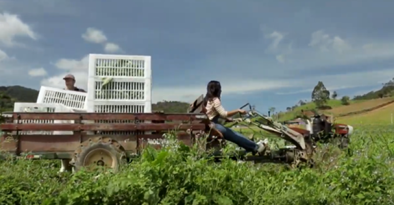 Proyecto Mesa en el Campo: Reducción del Desperdicio de Alimentos Proyecto Mesa en el Campo: Reducción del Desperdicio de Alimentos