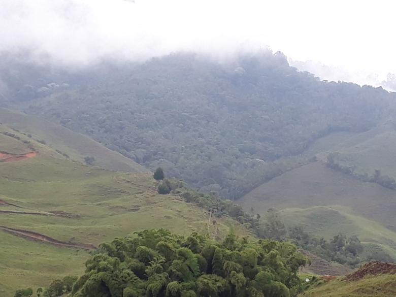 Conservación de la Microcuenca San Pablo: una historia de éxito de gobernanza compartida entre municipio y población local Conservación de la Microcuenca San Pablo: una historia de éxito de gobernanza compartida entre municipio y población local