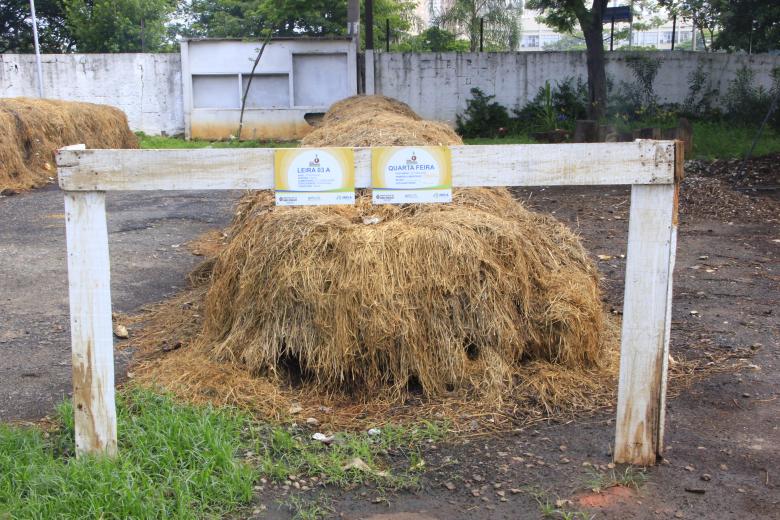 Promoviendo el Compostaje Descentralizado: Proyecto Ferias y Jardines Sostenibles