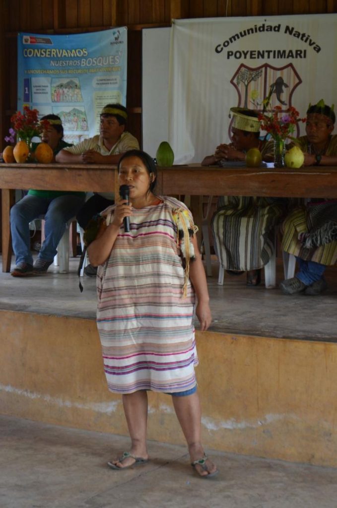Los planes de vida como una herramienta básica de articulación en el territorio de la Reserva Comunal Machiguenga Los planes de vida como una herramienta básica de articulación en el territorio de la Reserva Comunal Machiguenga