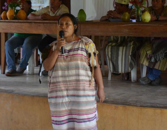 Los planes de vida como una herramienta básica de articulación en el territorio de la Reserva Comunal Machiguenga