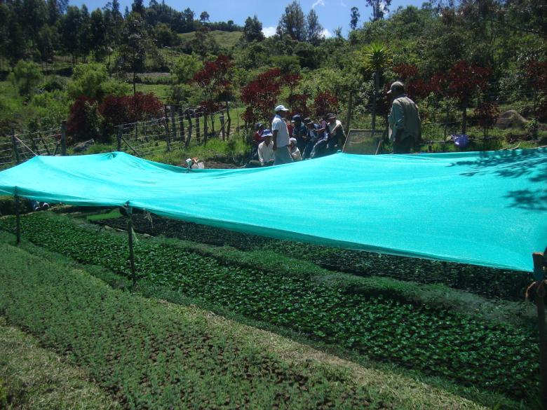 Conservación de páramos y bosques altoandinos para recuperar la regulación hídrica en la cuenca