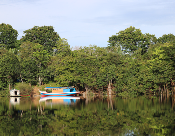 Los tres factores de éxito para la conservación de la cuenca del Río Negro del Amazonas en Brasil: Gobernanza y participación en el manejo de recursos naturales; creación de alianzas público privadas; y mosaicos de conservación Los tres factores de éxito para la conservación de la cuenca del Río Negro del Amazonas en Brasil: Gobernanza y participación en el manejo de recursos naturales; creación de alianzas público privadas; y mosaicos de conservación