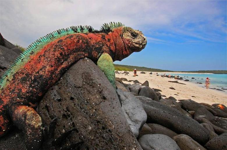Creación del Fondo de Inversión Sostenible de la Reserva Marina de Galápagos