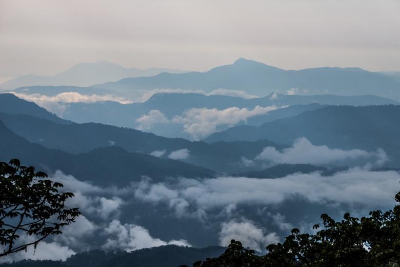 Gestión municipal y empresa privada: juntas por la sustentabilidad ambiental de la Amazonía Ecuatoriana. Gestión municipal y empresa privada: juntas por la sustentabilidad ambiental de la Amazonía Ecuatoriana.