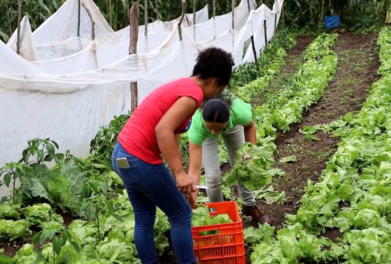 El empoderamiento de las mujeres en la agricultura de las reservas de biosfera El empoderamiento de las mujeres en la agricultura de las reservas de biosfera