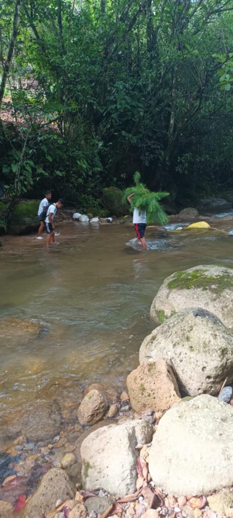 Restauración de areas afectadas por incendios forestales, a través de la participación comunitaria