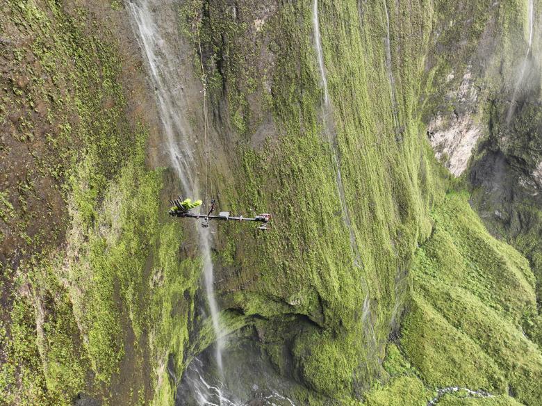 The Mamba: A Drone-based Robotic Arm to Preserve Endangered Plants in Cliff Environments