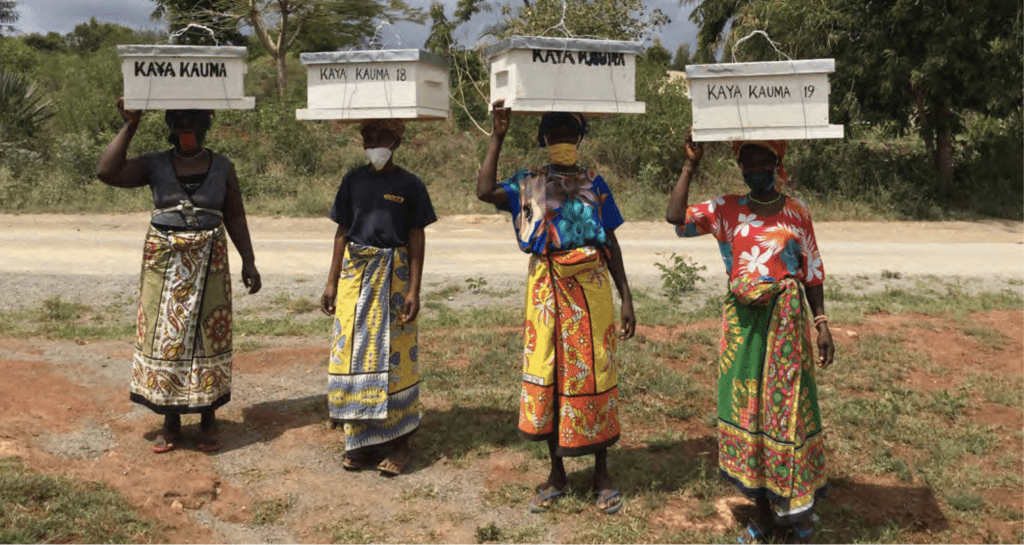 IUCN launches the Second Edition of the IUCN Global Standard for Nature-based Solutions™