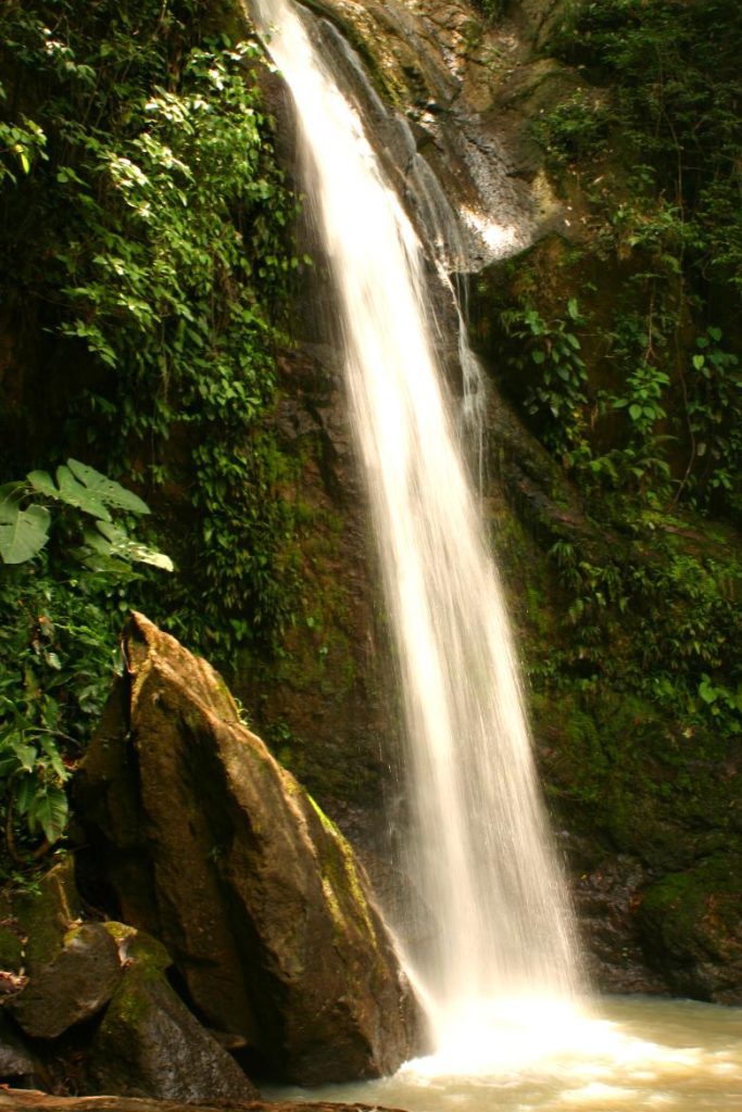 PANACAM, at the summit of Honduran ecotourism and an example of conservation in Latin America PANACAM, at the summit of Honduran ecotourism and an example of conservation in Latin America