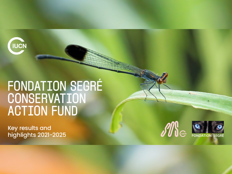 Small grants, big impact: New report highlights conservation gains across 41 countries