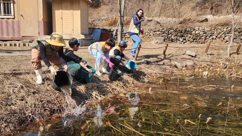 Preventing Amphibian Roadkill and Stabilizing Habitats Through Public-Private Governance