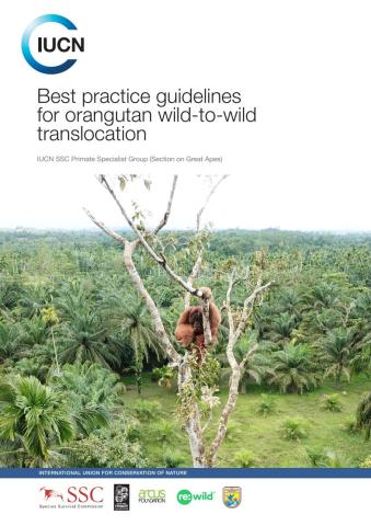 Best practice guidelines for orangutan wild-to-wild translocation