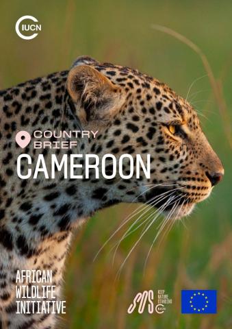 Country brief: Cameroon
