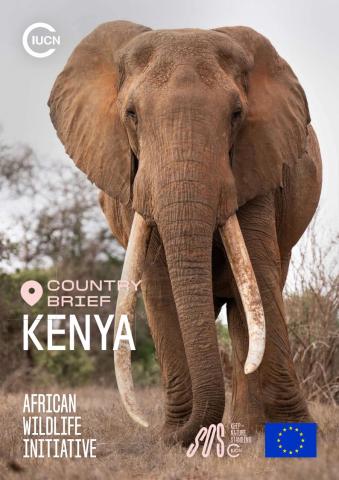 Country brief: Kenya