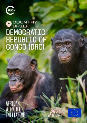 Country brief: Democratic Republic of Congo (DRC)