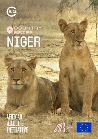 Country brief: Niger