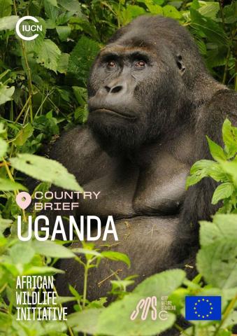 Country brief: Uganda