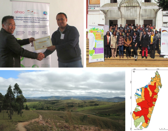 Des engagements internationaux à la mise en œuvre locale - la restauration des paysages forestiers à Madagascar