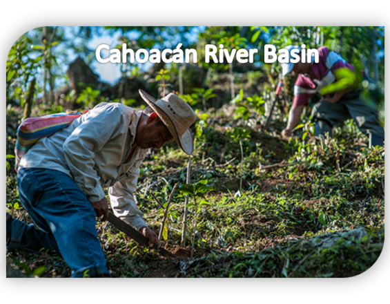 Liderazgo comunitatio para la seguridad alimentaria e hídrica en el Volcán Tacaná, México