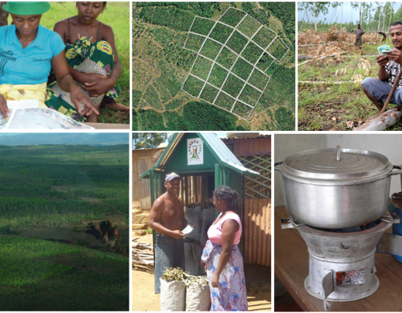 Réhabilitation des terres par le reboisement - le pouvoir des droits de propriété dans la chaîne de valeur du bois-énergie vert