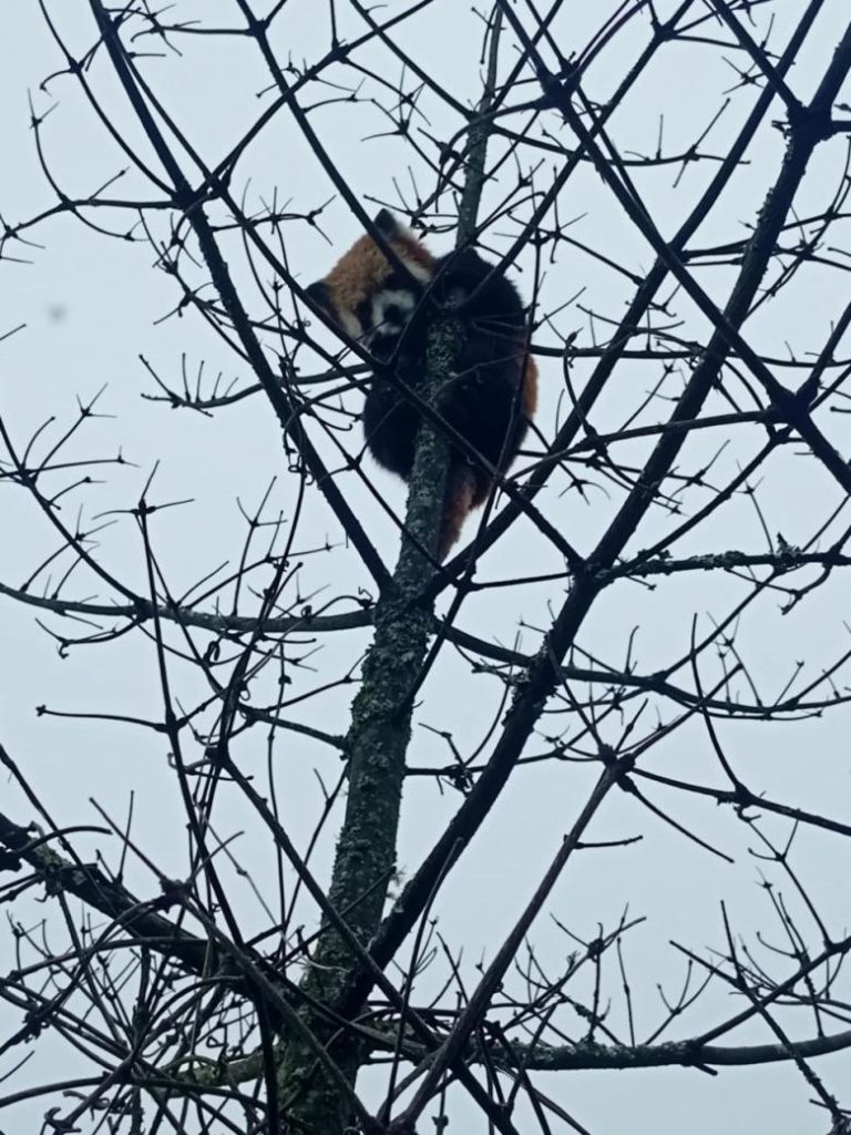 From Field to Data – Farmers Supporting Wildlife Conservation in Sakteng Wildlife Sanctuary-Bhutan