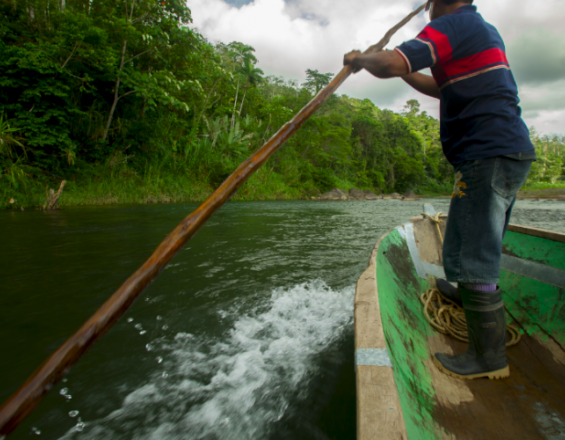 Gobernanza para la adaptación en la cuenca compartida del río Sixaola