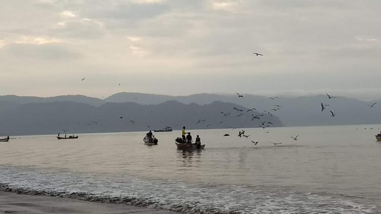 THE EXCLUSIVE ARTISANAL FISHING ZONE: A COMMUNITY INITIATIVE TOWARDS THE CARE OF MARINE MEGAFAUNA AND FOOD SOVEREIGNTY.