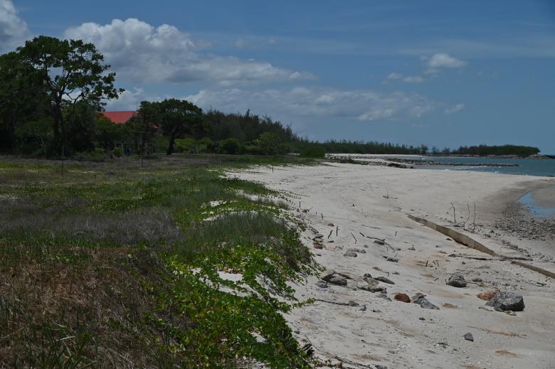 Ceasing Harmful Coastal Construction Subsidies to Protect Biodiversity in the Surroundings of the Mrigadayavan Palace, Thailand