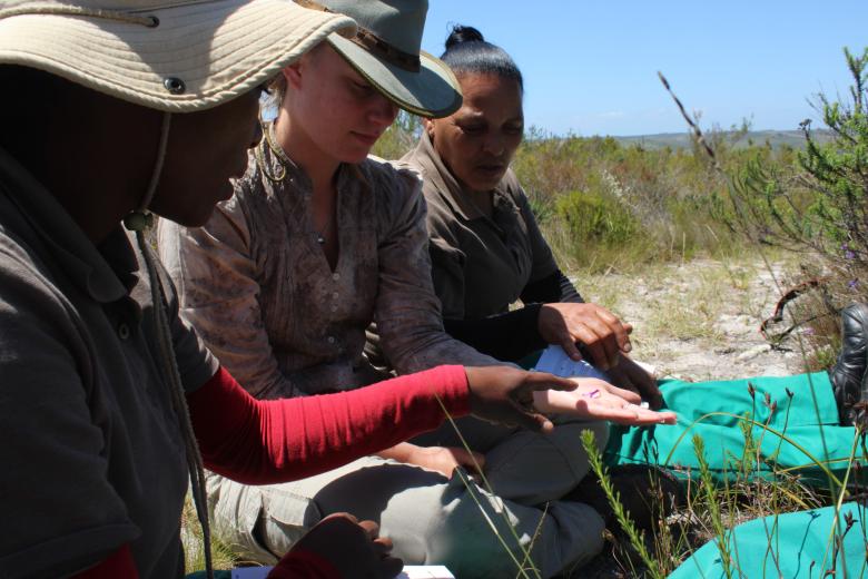 Building community-led restoration capacity through an operational indigenous plant nursery